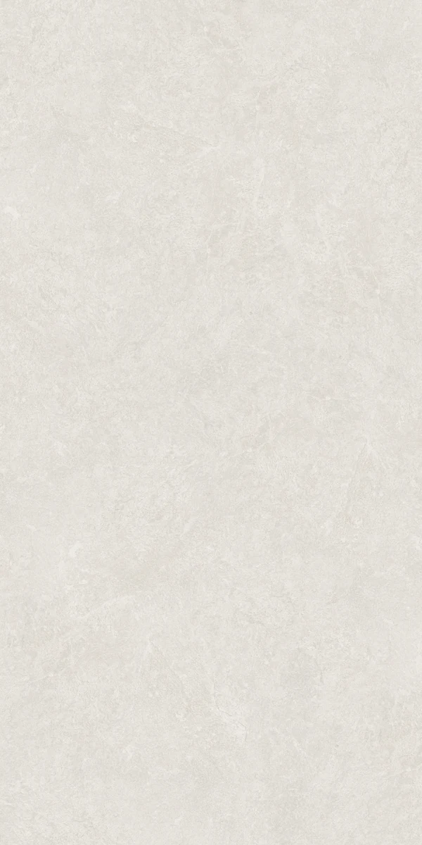 face 6